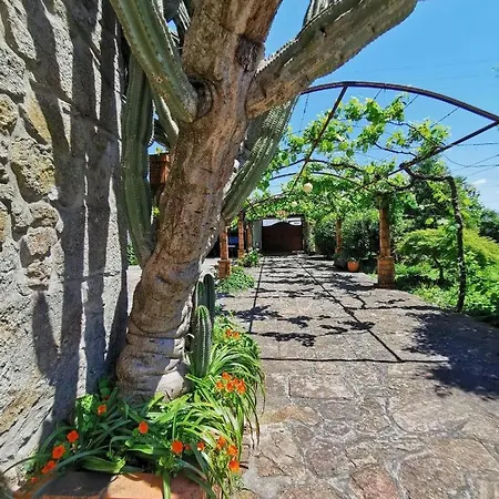 Casa Do Faial - ブラガ