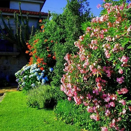 Casa Do Faial - Villa Braga