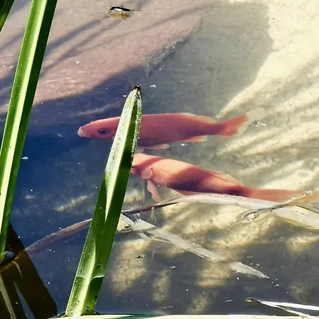 ヴィラ Casa Do Faial - ブラガ