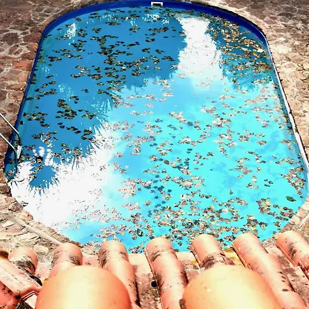 ヴィラ Casa Do Faial -