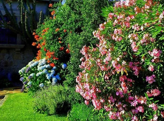 Casa Do Faial - 빌라 브라가