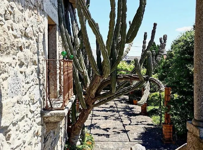 Casa Do Faial - Vila