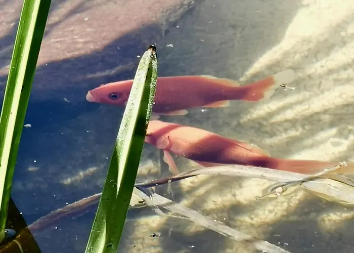 빌라 Casa Do Faial - 브라가